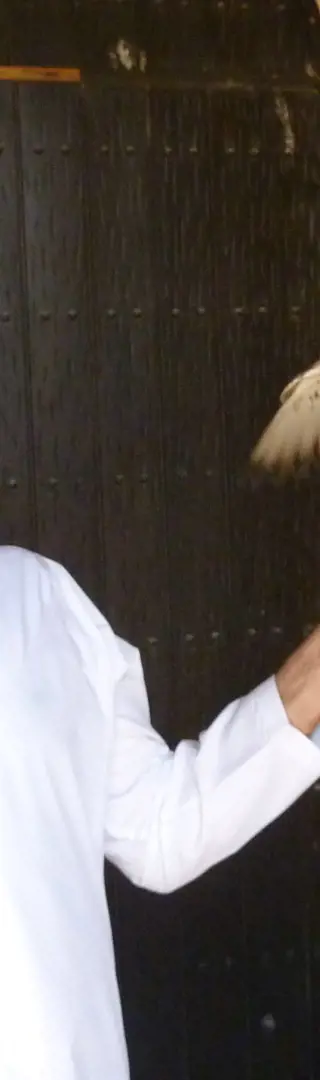 Lokaler Mann mit Falke